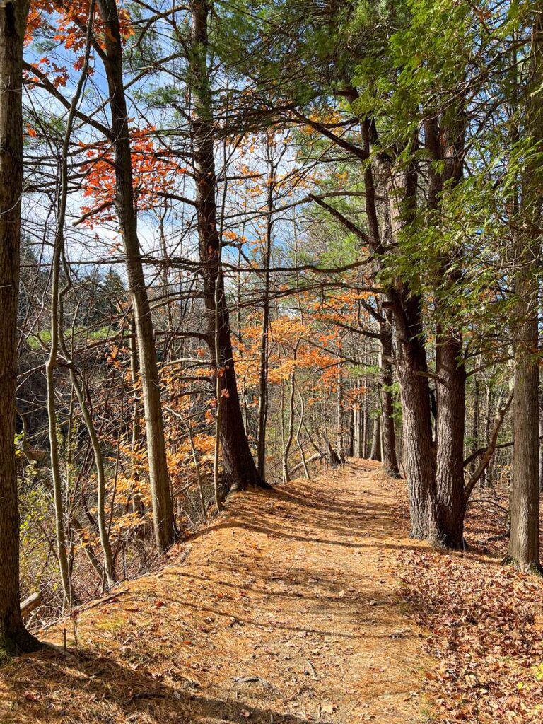 fall colors on display on a hiking trail at Chestnut Ridge State Park